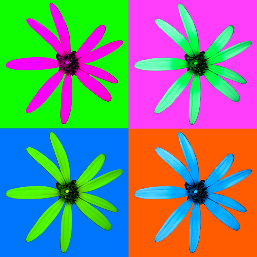 465683e8 a6b5 4f51 a65e 9f0a1e184ba1